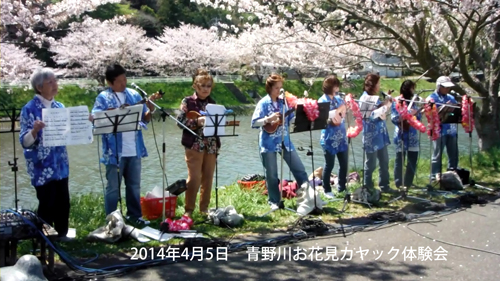 弓ヶ浜に流れ込む青野川でのお花見シーカヤック体験会でのウクレレ。