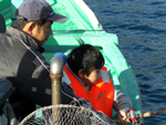 父と息子と、伊豆弓ヶ浜