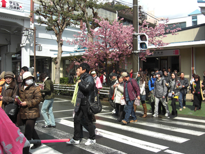 大勢の花見客