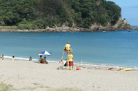 弓ヶ浜のお客様の声