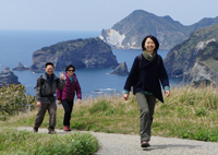 石廊崎のユウスゲ公園