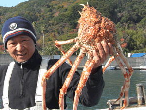 南伊豆の地魚　高足ガニ