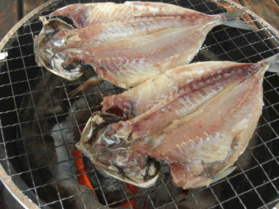 伊豆弓ヶ浜の過ごし方