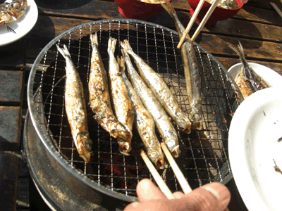 イワシの炭火焼き