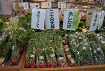 地野菜