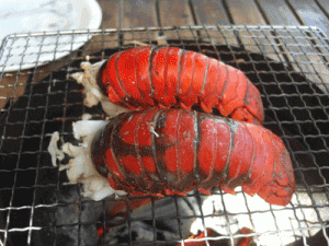 伊豆弓ヶ浜の伊勢えび料理　炭火伊勢えびのジェノバ風オードブル