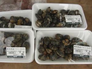 弓ヶ浜の冬の旬　カワハギ釣ってカワハギ寿司