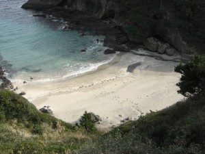 伊豆弓ヶ浜の周辺の白砂の美しいビーチ（３）碁石が浜、田牛サンドスキー場