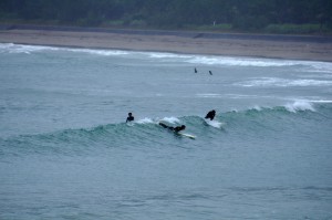 弓ヶ浜でサーフィン（ロングボード）