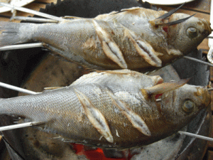 伊豆の弓ヶ浜で炭火コテージバーベキュー