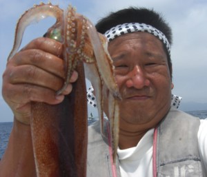 弓ヶ浜の夏の味、石廊沖のスルメイカ