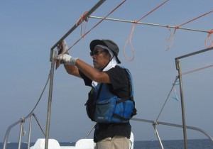 弓ヶ浜の夏の味、石廊沖のスルメイカ