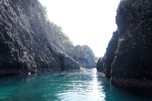 弓ヶ浜の漁船ツアー（伊豆半島ジオパーク事業）