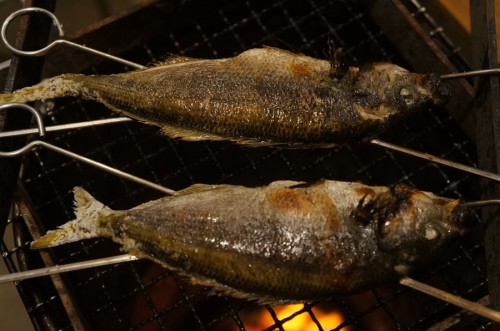 南伊豆の夏の地魚、タカベの塩焼き