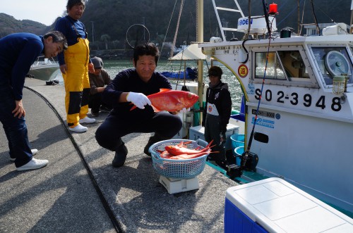 南伊豆漁港の朝獲れ地魚ジキンメ