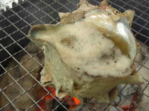 サザエのつぼ焼きには少量の日本酒を入れるとおいしい。