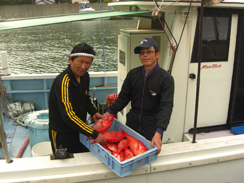 地金目鯛は毎年漁獲量が減り続けていて、値も上がり続けている。