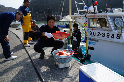 弓ヶ浜の波止場で水揚げされているジキンメ（地金目鯛）