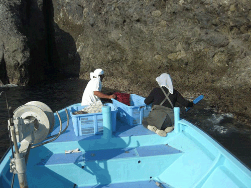 弓ヶ浜の伊勢エビ網漁