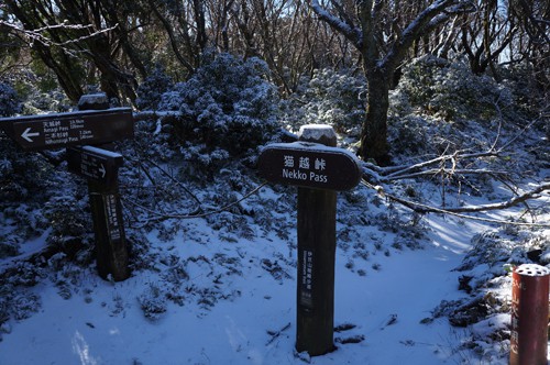 標高969ｍ、猫越峠、伊豆山稜線歩道はここで直角に曲がる