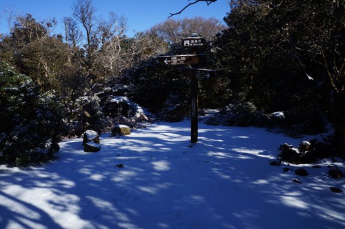 標高1034ｍ、コース最高地点の猫越岳