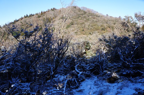 後藤山を仰ぎ見る