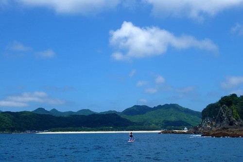 当日の海況を判断してツアーの出発が決まります。