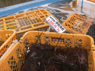 弓ヶ浜の海鮮バーベキュー５