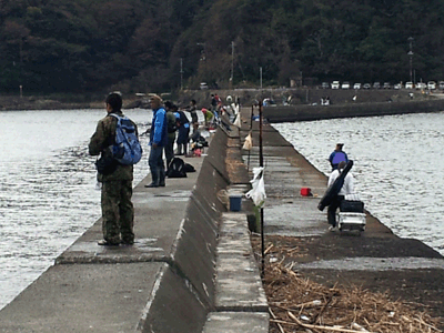 下田湾の犬走堤防