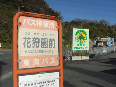 伊豆弓ヶ浜　天日干しの干物屋　弓ヶ浜コテージ