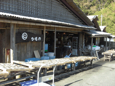 伊豆弓ヶ浜　天日干しの干物屋　弓ヶ浜コテージ