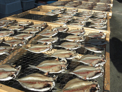 伊豆弓ヶ浜　天日干しの干物屋　弓ヶ浜コテージ