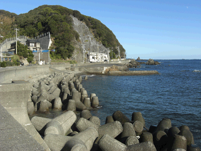 伊豆弓ヶ浜　天日干しの干物屋　弓ヶ浜コテージ