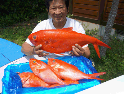 地金目鯛（ジキンメ）