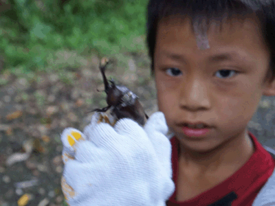 カブトムシ・クワガタ採集ツアー