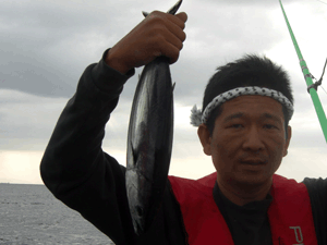 南伊豆の地魚　カツオ