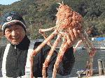 伊豆弓ヶ浜の地魚の刺身　高足ガニ