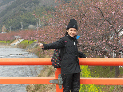 ３分咲きの河津桜並木