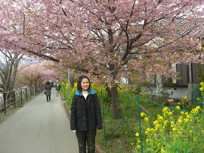 河津桜の最後の日