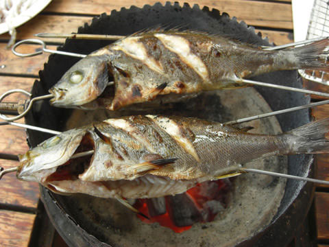 海鮮バーベキュー食材