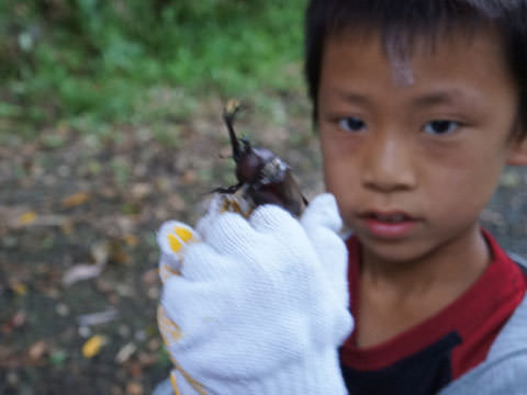 「カブトムシ・クワガタ捕り」プランイメージ