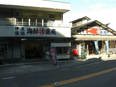 伊豆弓ヶ浜の過ごし方