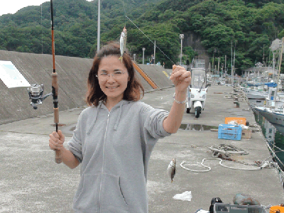 南伊豆の堤防釣り　アジ