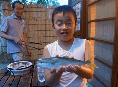 南伊豆の堤防釣り